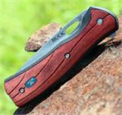 Buck Knives Buck 346RWS Vantage Avid, 3.25" 420HC Plain Blade, Rosewood Dymondwood Handle -Buck Knives 346rws 21614.1566585913