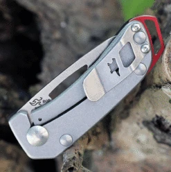 Buck Knives Budgie 0417BKS, 2" CPM-S35VN Satin Drop Point Plain Blade, Black G-10 Handle -Buck Knives BU417BKS.2 29276.1625086158