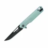 Buck Knives 239 Infusion-Jade G10 (3.25" Blk 7Cr) 0239GRS1-B