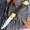 Buck Knives Buck 110 Folding Hunter Finger Grooved Ebony (3.75" Satin) 110BRSFG 1 Buck Knives Buck 110 Folding Hunter Finger Grooved Ebony (3.75" Satin) 110BRSFG -Buck Knives knifework 110brsfg 92240.1655131472